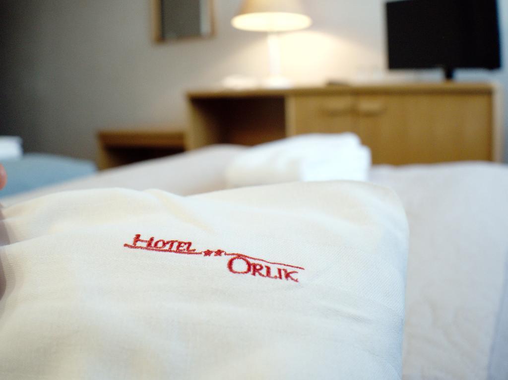 Hotel Orlik Płońsk Rum bild